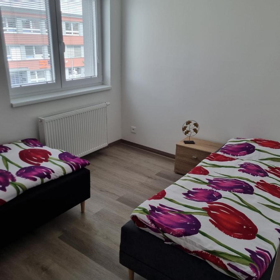 Cerna Ruze- Apartman 5 Pilsen Exterior foto